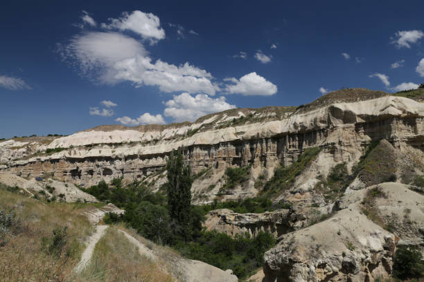 istock Pigeons Valley in Cappadocia 823992906