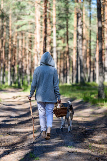 istock young woman enjoying nature in forest 823995962