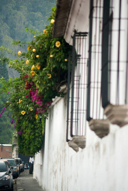 colonial buildings and cobbled streets in antigua, guatemala, central america - guatemala antigua central america color image imagens e fotografias de stock