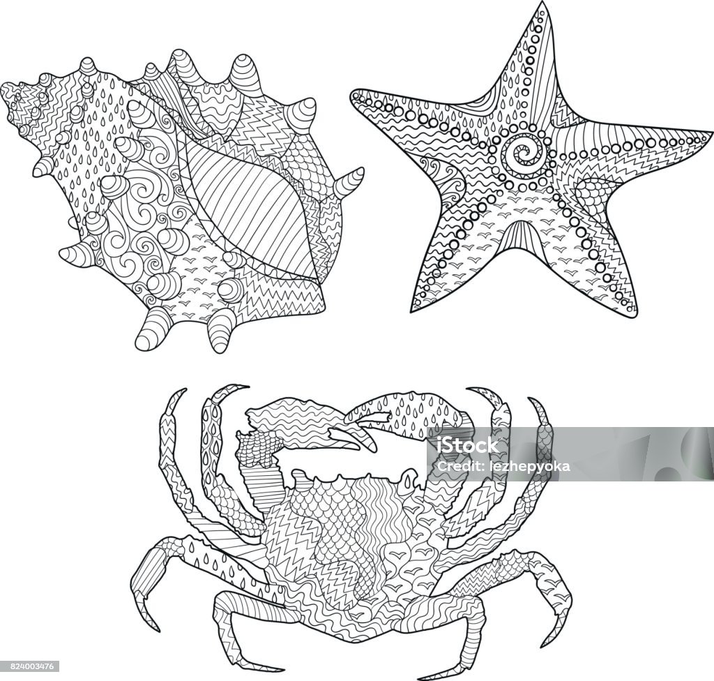 Set of marine objects Set of marine objects - seashell, seastar and crab. Adult antistress coloring page. Sketch for tattoo, poster, print, t-shirt in tangled patterns style. Vector illustration. Animal stock vector