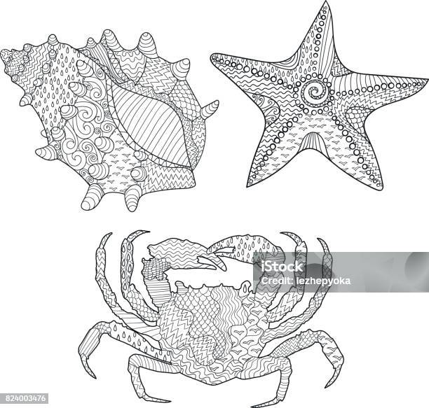 Set Of Marine Objects Stock Illustration - Download Image Now - Animal, Coloring, Starfish