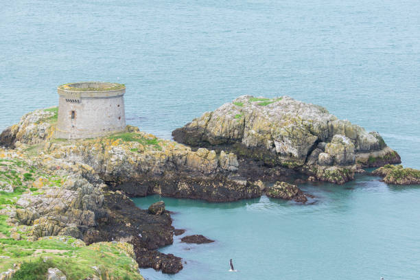 Dublin in Ireland, Ireland's Eye, island with birds, tower, ruin