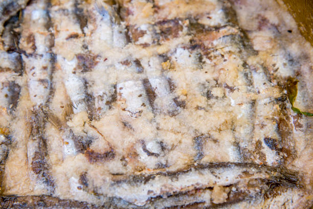 istock Sardines prepared with sea salt and herbs 824016172