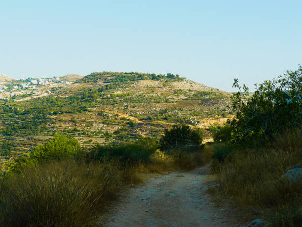 istock Hiking in Israel 824033962