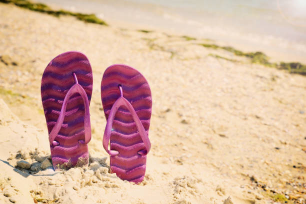 istock Purple beach slippers on the beach 824034194