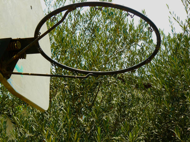Man Shooting Basketball into Hoop on Sports Court