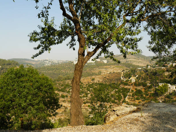 istock Hiking in Israel 824036824