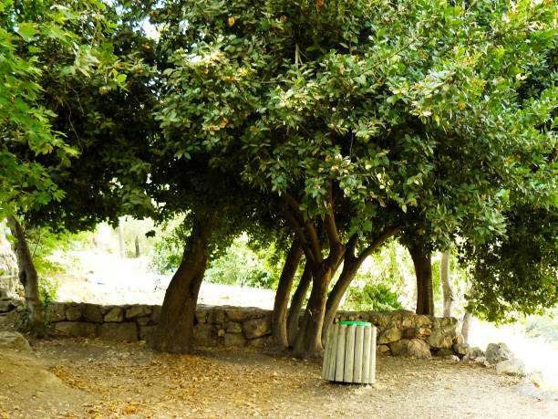 istock Hiking in Israel 824036908