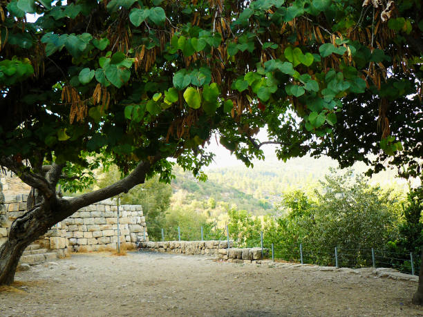 istock Hiking in Israel 824037026