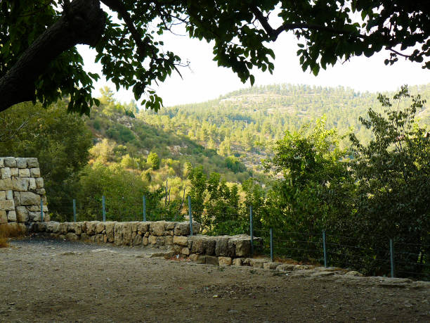 istock Hiking in Israel 824037064