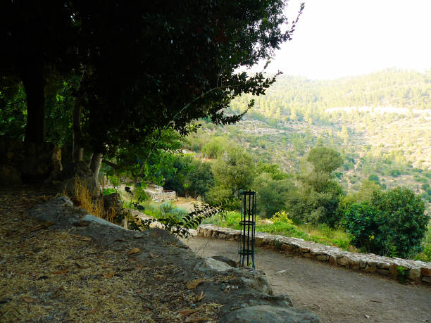 istock Hiking in Israel 824037098