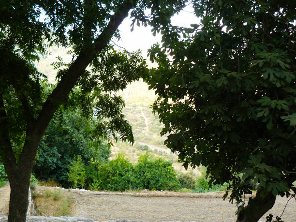 istock Hiking in Israel 824037138