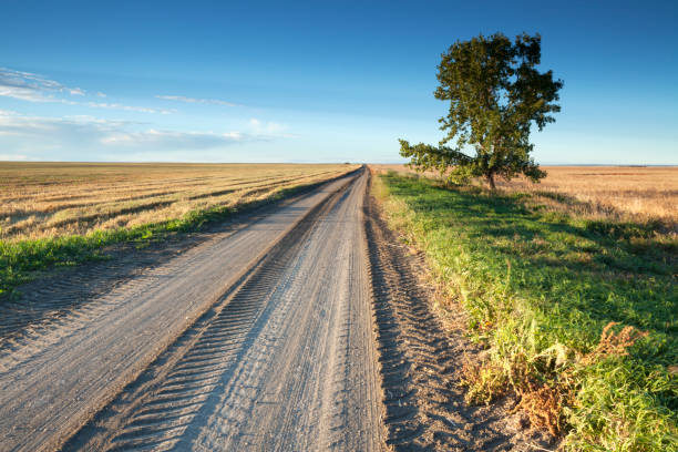 saskatchewan solitário prairie road - saskatchewan country road road prairie - fotografias e filmes do acervo