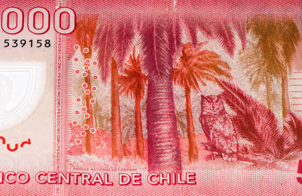 istock South America currancy banknote 824053102