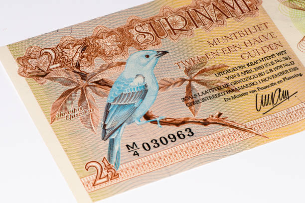 istock South America currancy banknote 824056490