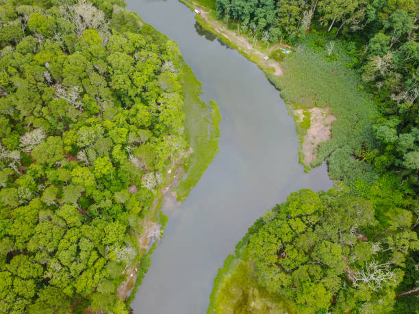 istock Aerial of Cape Cod, MA Saltwater River 824056654