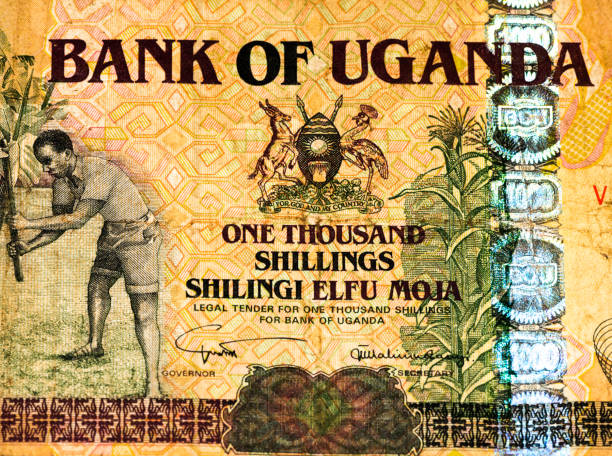 istock Currancy banknote of Africa 824057336
