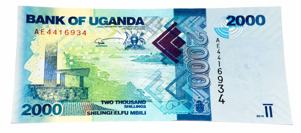 istock Currancy banknote of Africa 824057482