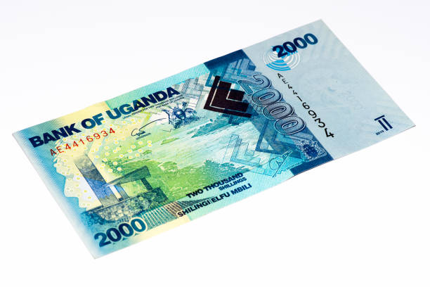 istock Currancy banknote of Africa 824057488