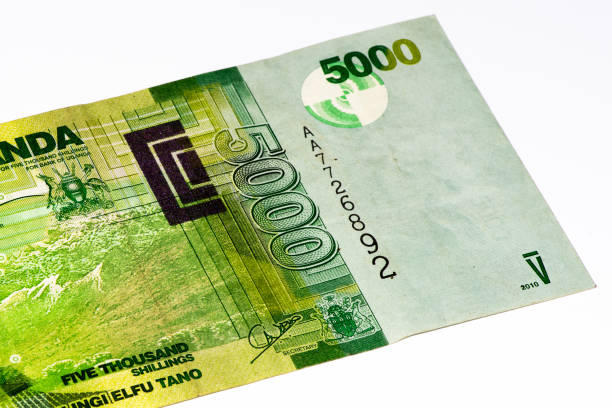 istock Currancy banknote of Africa 824057498