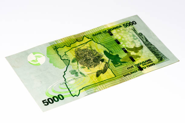 istock Currancy banknote of Africa 824057508