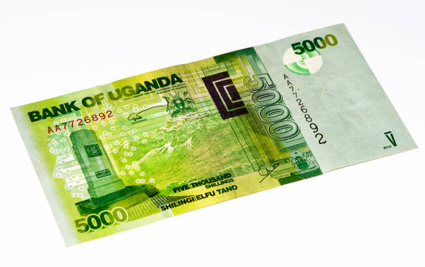 istock Currancy banknote of Africa 824057526
