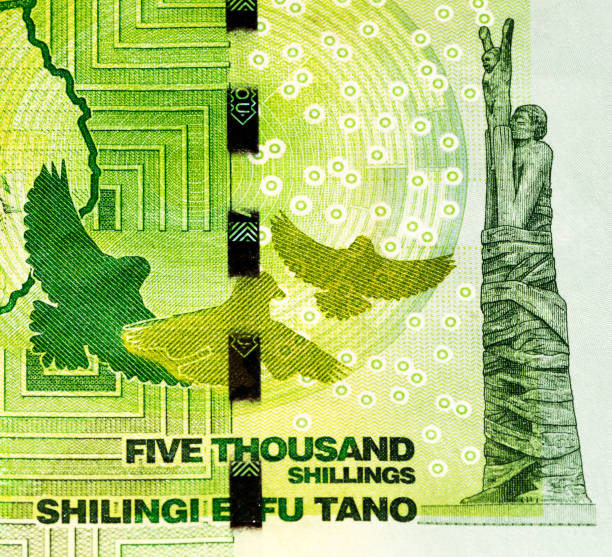 istock Currancy banknote of Africa 824057544