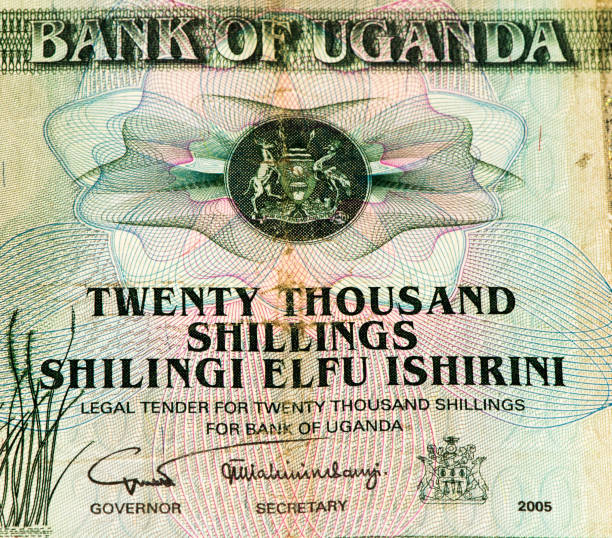 istock Currancy banknote of Africa 824057610