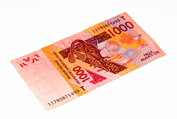 istock Currancy banknote of Africa 824057748