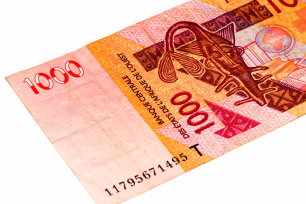 istock Currancy banknote of Africa 824057754