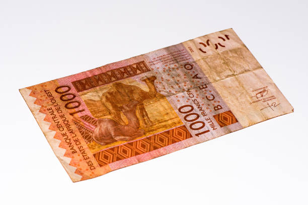 istock Currancy banknote of Africa 824057760