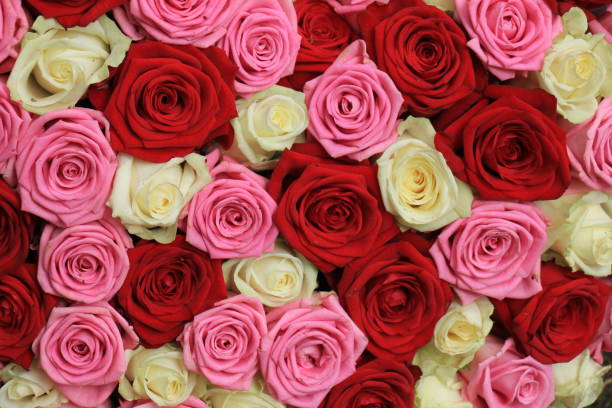 istock Pink rose bridal bouquet 824057814