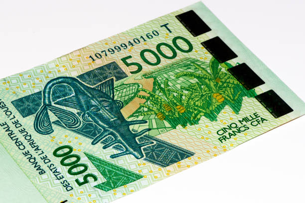 istock Currancy banknote of Africa 824057844