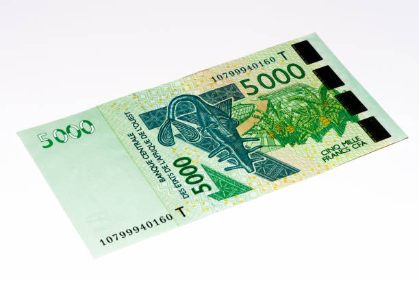 istock Currancy banknote of Africa 824057868