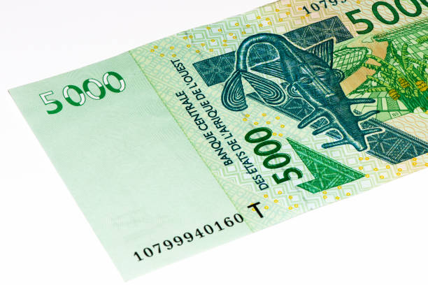 istock Currancy banknote of Africa 824057870