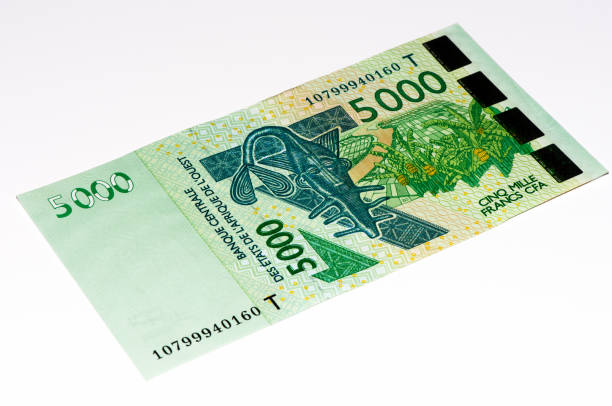 istock Currancy banknote of Africa 824057888