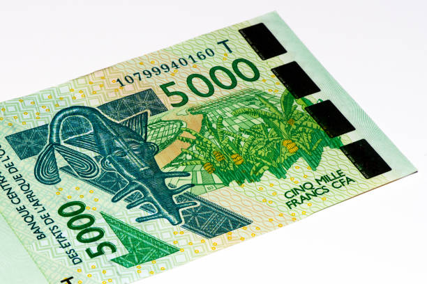 istock Currancy banknote of Africa 824057892