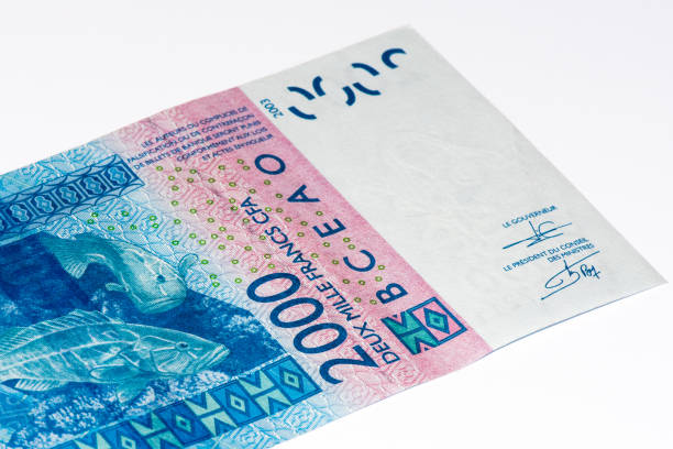 istock Currancy banknote of Africa 824057902
