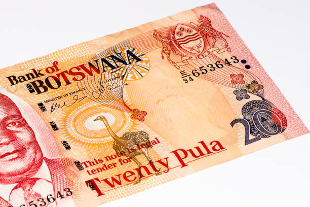 istock Currancy banknote of Africa 824060246