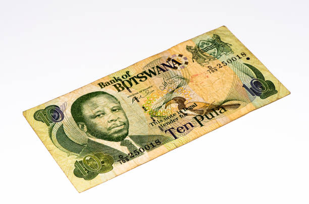 istock Currancy banknote of Africa 824060340