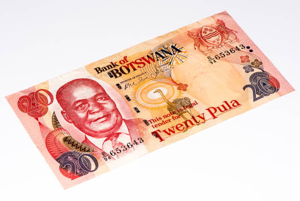 istock Currancy banknote of Africa 824060392