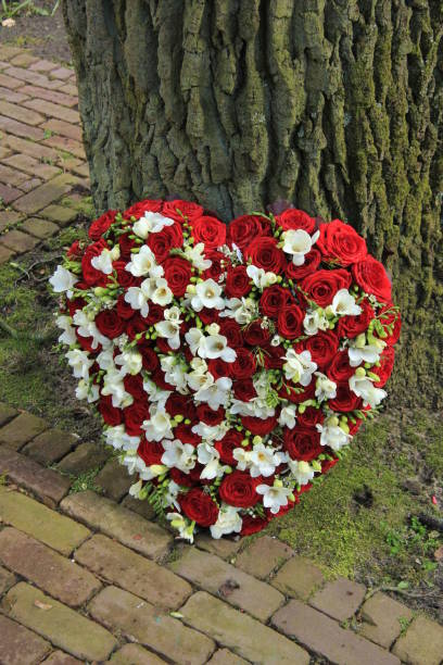 istock Red and white sympathy flowers near a tree 824060602