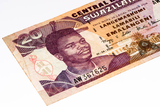 istock Currancy banknote of Africa 824060686