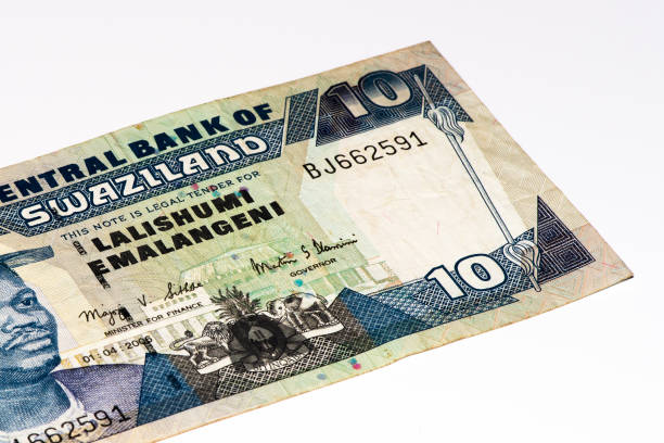 istock Currancy banknote of Africa 824060706