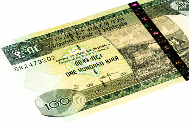istock Currancy banknote of Africa 824063876