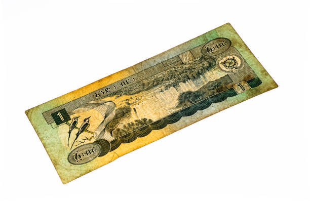 istock Currancy banknote of Africa 824064026