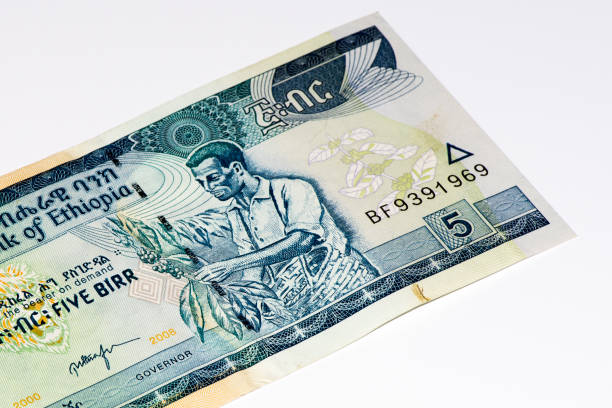 istock Currancy banknote of Africa 824064032