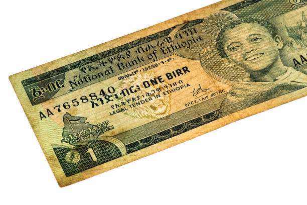 istock Currancy banknote of Africa 824064038
