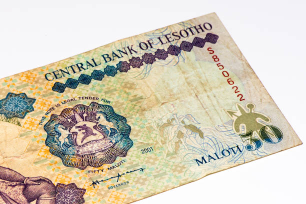 istock Currancy banknote of Africa 824064350