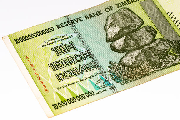 istock Currancy banknote of Africa 824064562